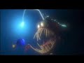 Finding Nemo 2003 Anglerfish Chase