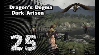 #25【Dragon's Dogma: Dark Arisen】ちょっと飛び去ったんですけど【左腕のボスぬこ】