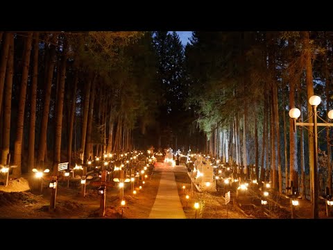 Denia celor 12 Evanghelii