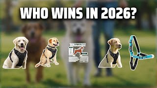 The Top 5 Best No Pull Harness in 2026 - Must Watch Before B
