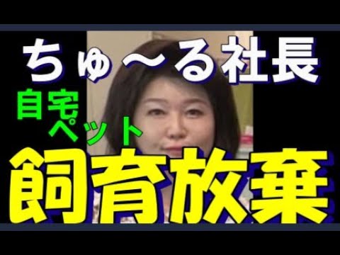 《CIAOちゅ～る製造元》いなば食品の&ldquo;女帝&rdquo;稲葉優子会長の&ldquo;猫ネグレクト&rdquo;「1年ほどで急速に愛情を失います」