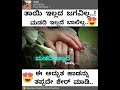 Tayi illad jagavilla, madadi illad balilla Tayi illad jagavilla, madadi illad balilla