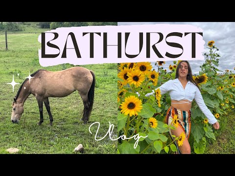 Bathurst Weekend Vlog | Aesthetic