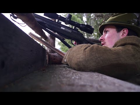 Carbon meets Tradition | Roe Deer Hunting in Spring | FBT Fine Ballistic Tools