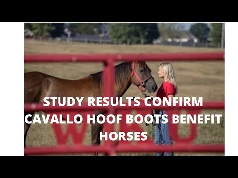 The Science Behind Cavallos