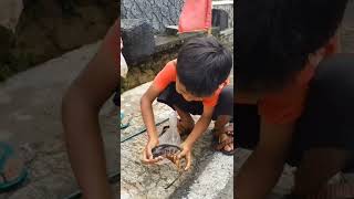 Download lagu bocil mancing dapat channa auranti segede ini 😮😮 ikan siapa yg d buang ini #video #shorts mp3 Download lagu bocil mancing dapat channa auranti segede ini 😮😮 ikan siapa yg d buang ini #video #shorts mp3