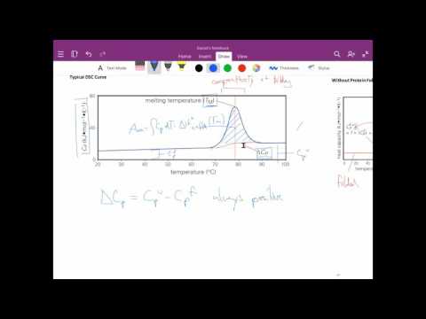 Differential Scanning Calorimetry and Protein Folding Thermodynamics