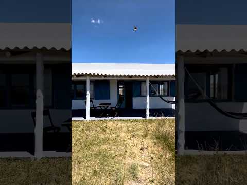 Casa El Roncal, Cabo Polonio, Rocha. Alquiler temporal de alojamiento.