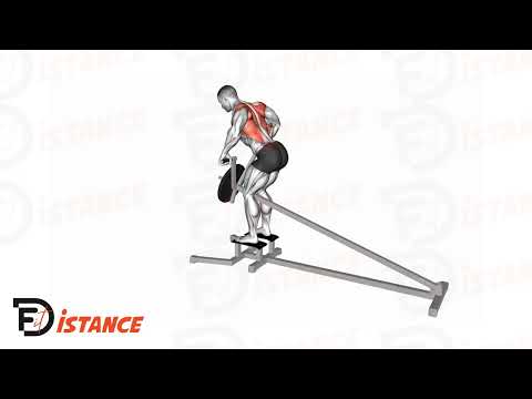 Exercice Rowing/Tirage en T avec barre