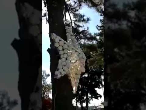 Igreja Carmo de Nova União, Caeté, Minas Gerais.