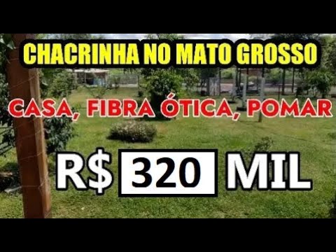 Vídeo