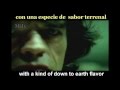 The Rolling Stones - Anybody Seen My Baby Subtitulado Español Ingles