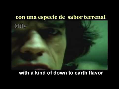 The Rolling Stones - Anybody Seen My Baby Subtitulado Español Ingles
