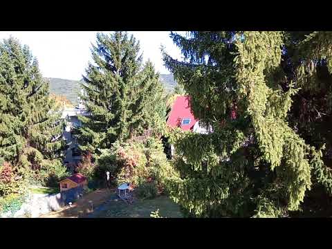 CAT S41 phone 1080p camera test video