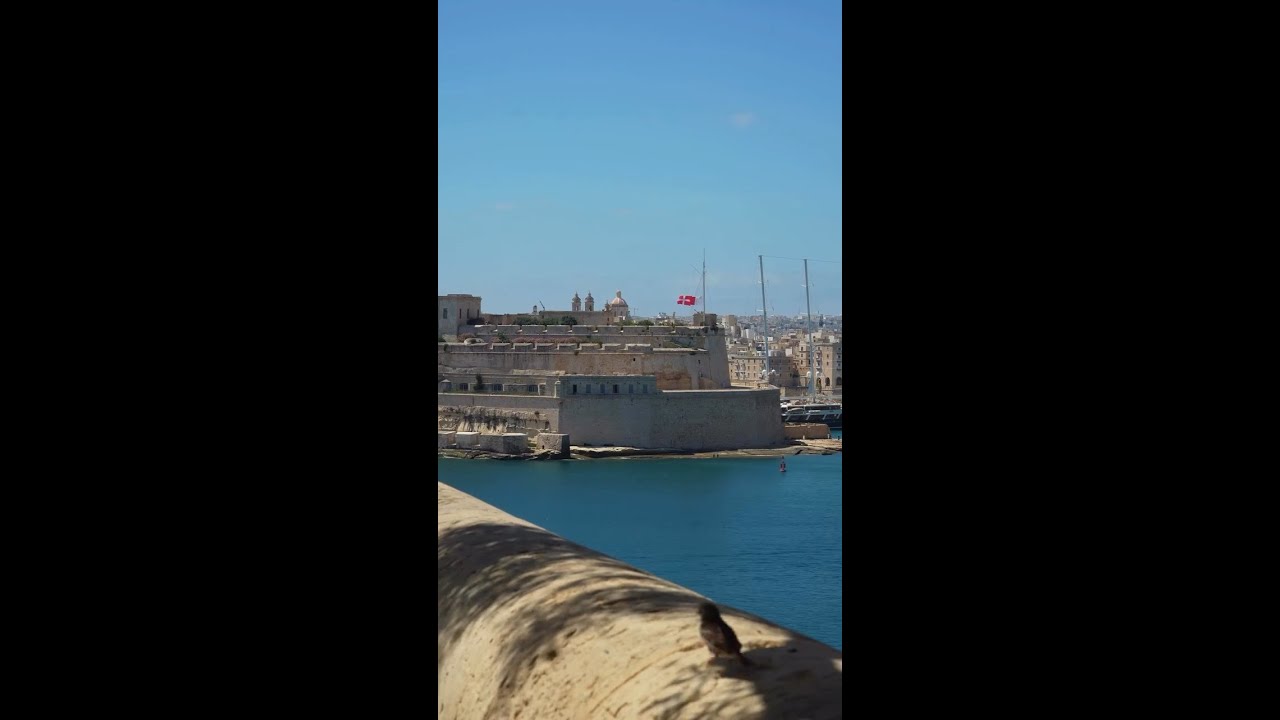 Prepare for jaw-dropping views at the Lower Barrakka Gardens 💐🌷🤩