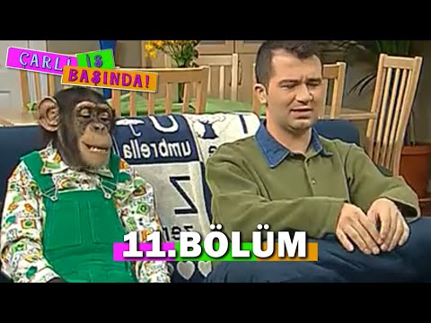 Çarli İş Başında 11. Bölüm - FULL BÖLÜM