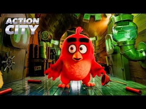 Red Finds the Hidden Pigs on Leonard's Ship | The Angry Birds Movie (Jason Sudeikis, Bill Hader)