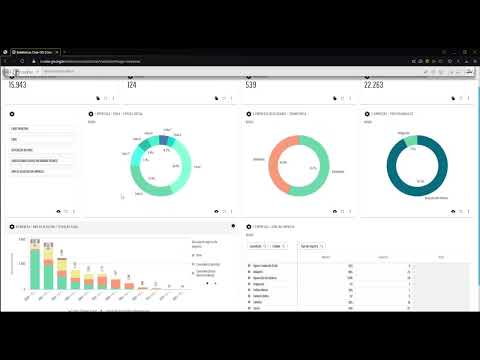 acessando-o-bi-do-crea-go-categoria-empresas