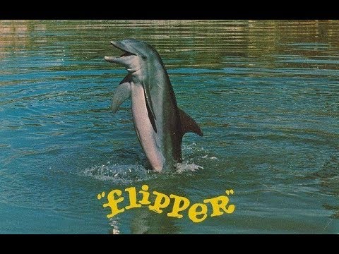 Flipper - Intro [1964]