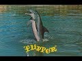 Flipper Intro 1964