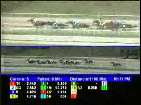 5TA CARRERA DOM 27 ENERO LA RINCONADA AUDIOHIPISMO