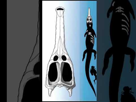 Largest crocodile ever Machimosaurus rex | 3000 किलो का मगरमच्छ | l