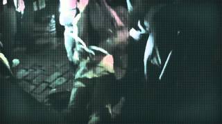 Kim Dotcom - Mr President