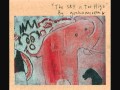 Graham Coxon - Who The Fuck