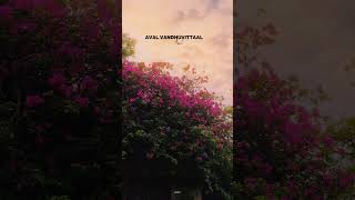 I - Pookkalae Sattru Oyivedungal Video lyrics | A. R. Rahman | Vikram | Shankar #shorts #tamilmusic