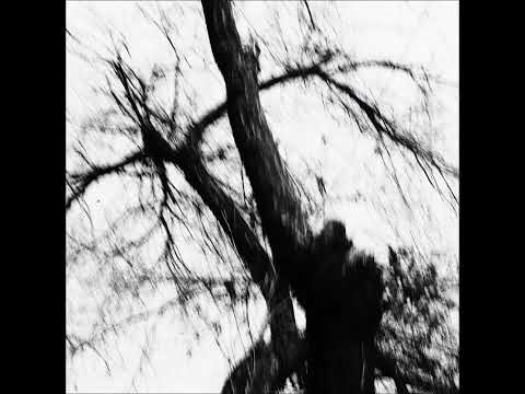 ort.z - Guardian Ape (Original Mix)