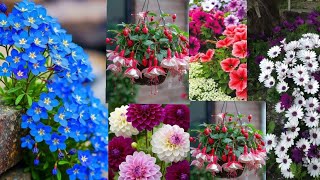 ÇİÇEK SERASI GİBİ BİR MEKAN 🌺PURSAKLAR da bir benzin istasyonu ANKARA 