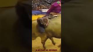 TOURO BODACIOUS |O NOME QUE MUDOU O RODEIO MUNDIAL