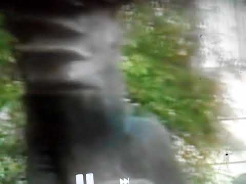 Pretenders = Let's make a pact