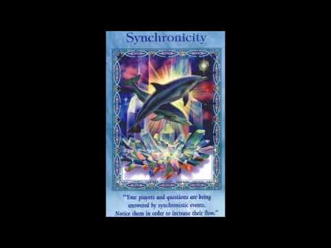 Pal One - WIR HABEN RAP´s