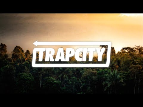 BAAUER - TRIBAL HIT