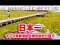 channel
