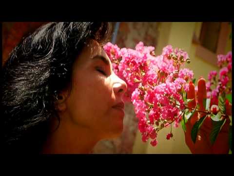 SONIA VEGA   ¨De la Nada¨ videoclip