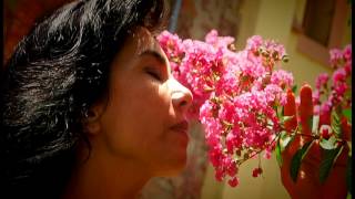 SONIA VEGA   ¨De la Nada¨ videoclip