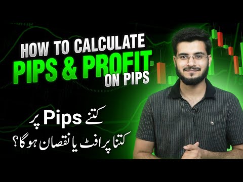 What is Pip in Forex Trading - How to Calculate per Pip Profit & Loss