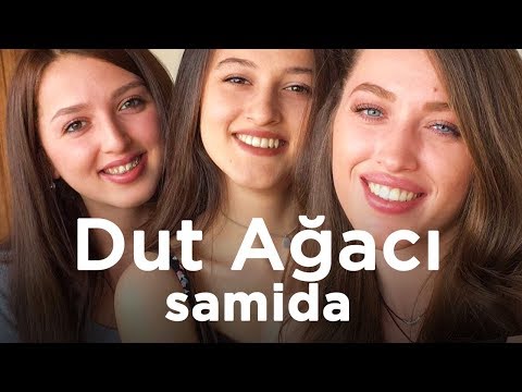 SAMİDA - Dut Ağacı
