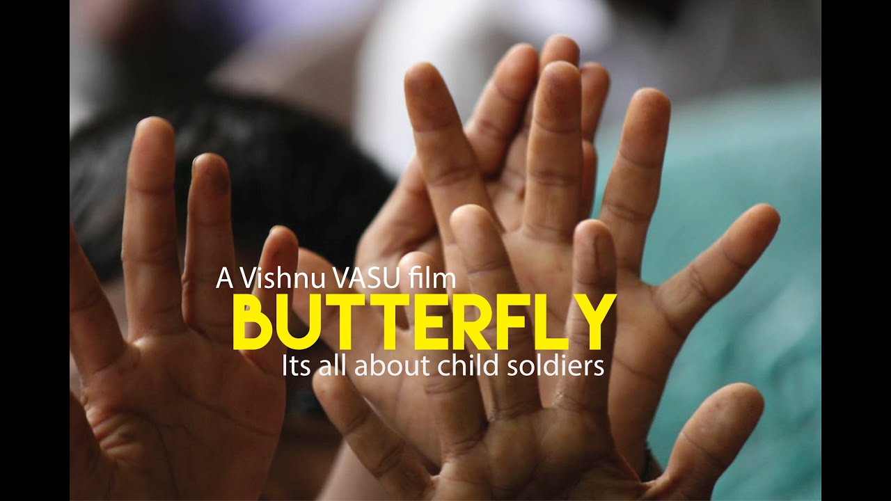 Butterfly