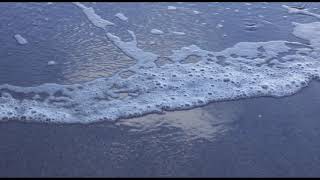 MICROS VIDEOPOESIA PASAJE Paola Barragan