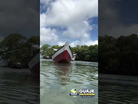 Guajerutiua #pescaria #maranhão #pesca #praiasdonordeste #cururupu