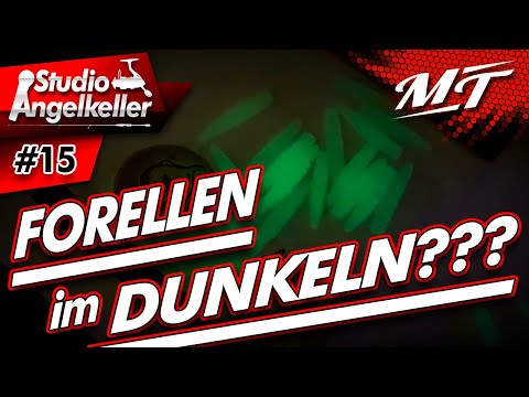 NACHTS auf FORELLEN - DAS GEHT??? Studio Angelkeller - E15