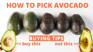 How to Pick Avocado - Tips for buying perfect avocados at the store.