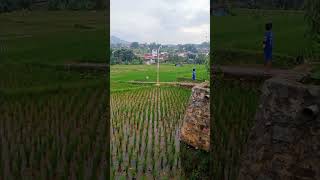 Download lagu Ceramah ustad nana gerhana#shortvideo#shots#shorts#fypyoutubeshorts#viralshort mp3 Download lagu Ceramah ustad nana gerhana#shortvideo#shots#shorts#fypyoutubeshorts#viralshort mp3