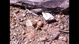 ZONA DE FUEGO 06 2015