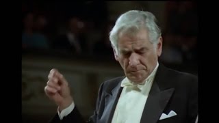Beethoven - String Quartet No. 14 in C♯ minor (Bernstein)