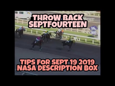 SEPTFOURTEEN COMMISIONERS CUP 2019