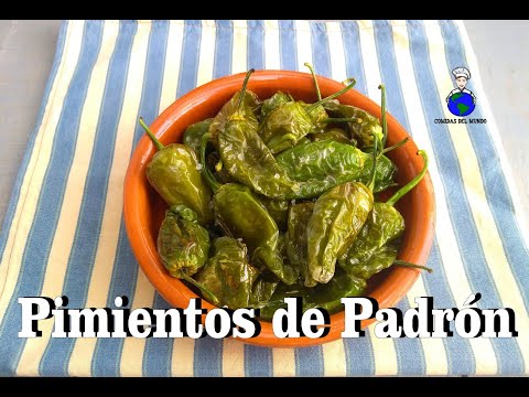 Como hacer Pimientos de Padrón | Unos pican y otros no | Tapa | Receta Gallega | Cocina Española